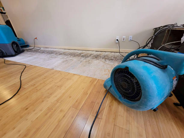 Professional Ceiling Water Damage Repair technician working in Avoca, IA
